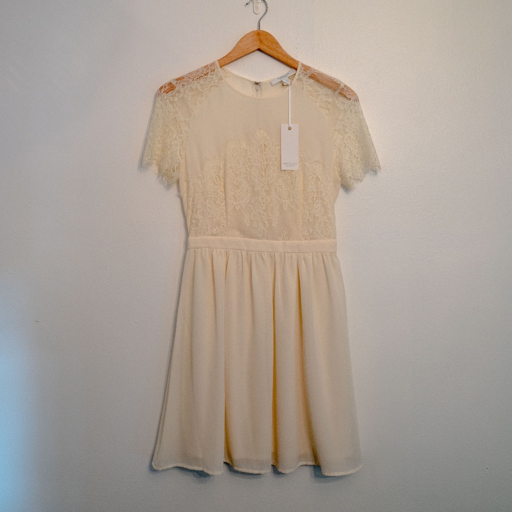 Piperlime Cream Lace and Chiffon Fit & Flare Dress